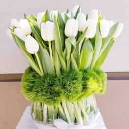White tulips arranged in a clear glass vase with bright green moss