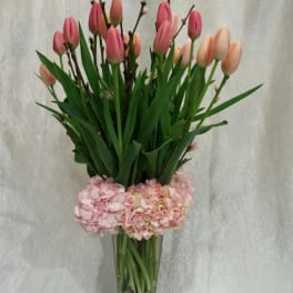 Pink tulips and pale pink hydrangeas in a tall glass vase