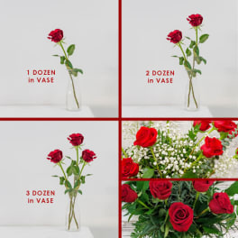 Red roses in clear glass vases, shown in different dozen sizes