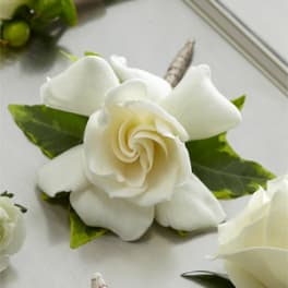 White rose boutonniere with green leaves and a wrapped stem