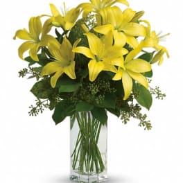 Teleflora's Lily Sunshine