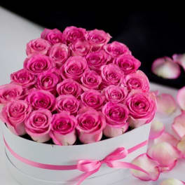 Round box of pink roses with a pink ribbon