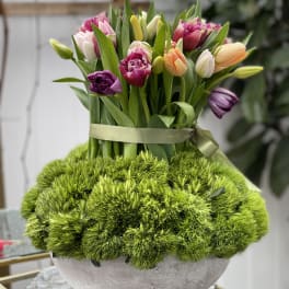 Bouquet of multicolored tulips in a round gray vase with green moss
