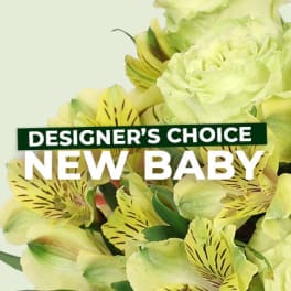 New Baby Floral Arrangement - Designer's Choice
