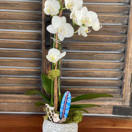 White orchid arrangement in a textured white pot with decorative accents