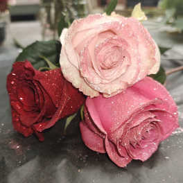 Three glittered roses in red, pink, and pale blush