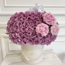 MFS Lavender Roses x Peonies