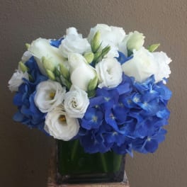 White roses and blue hydrangeas in a square glass vase