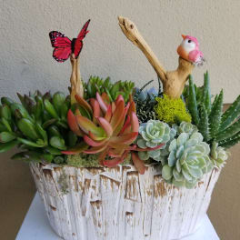 Succulent arrangement in a white rustic planter with butterfly and bird accents