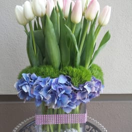 White and pale pink tulips in a clear square vase with blue hydrangeas