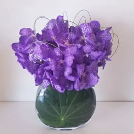 Purple orchid arrangement in a round glass vase