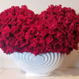 Large arrangement of red roses in a white vase