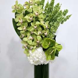 Green orchids and white hydrangea in a tall glass vase