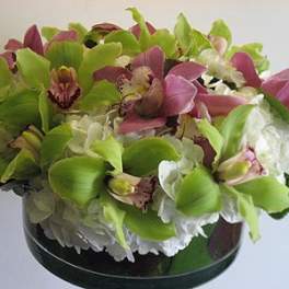 Green and pink orchid arrangement in a glass vase