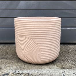 Textured blush ceramic planter pot