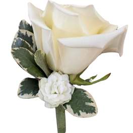 White Rose Boutonniere