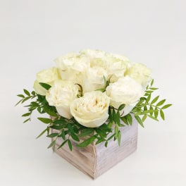 White roses arranged in a square wooden box with green foliage