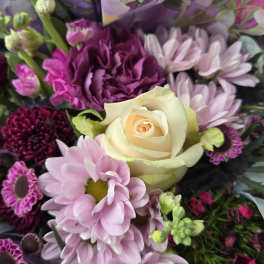 Mixed bouquet with a cream rose and pink daisies