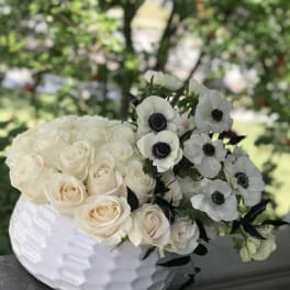 White roses and white anemones arranged in a white vase