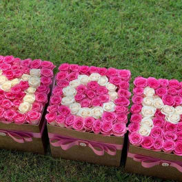 Three square boxes of pink and white roses arranged on grass