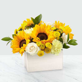 Sunflower and white rose arrangement in a white rectangular box