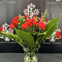 Red carnations in a clear glass vase with broad green leaves