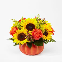 Sunflowers and coral roses arranged in an orange pumpkin vase