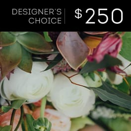 Designer's Choice - $250