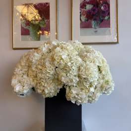 Large white hydrangea arrangement in a black vase on a pedestal