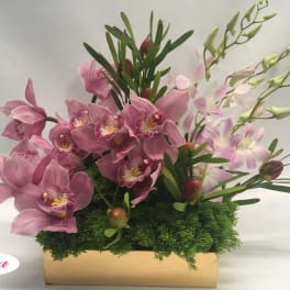 Pink orchids arranged in a rectangular box with green foliage