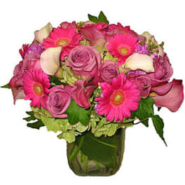 Compact pink and lavender bouquet with gerbera daisies and roses in a clear glass cube vase