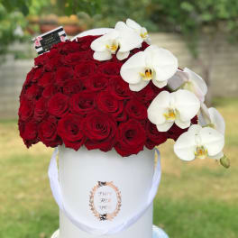 Red roses in a white hatbox with white orchids draped over the side