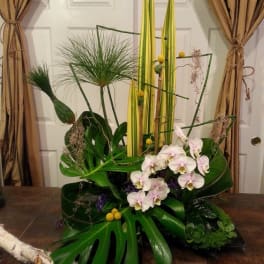 Tropical floral arrangement with white orchids and large green leaves
