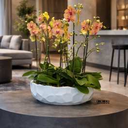 Low white bowl of yellow and pink orchids on a round gray table in a modern lobby.