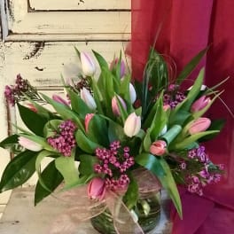 Pink and white tulips arranged in a glass vase with a ribbon
