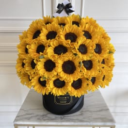 Large bouquet of yellow sunflowers in a black hatbox with a ribbon