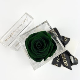 Single green rose in a clear acrylic box with a black ribbon