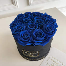 Blue roses arranged in a black round box