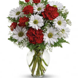 Red carnations and white daisies in a clear glass vase