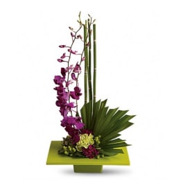 Purple orchid arrangement with bamboo and fan-shaped leaves in a green container