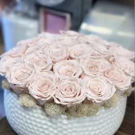 Pale pink roses arranged in a white textured bowl