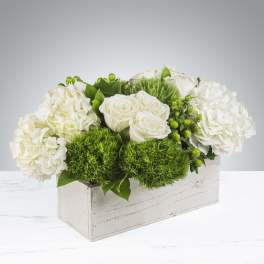 Low white roses and hydrangeas with bright green tufted accents in a white wooden box