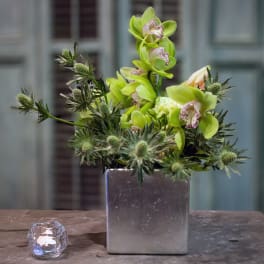Green orchid arrangement in a square silver vase with spiky thistle accents