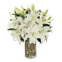 White lilies arranged in a clear glass vase