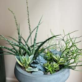 Assorted green and blue succulents in a round gray concrete planter on a pedestal