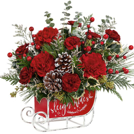 Red carnations in a sleigh-shaped holiday container with pinecones