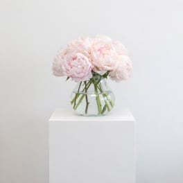 Round glass vase of pale pink peonies arranged in a compact dome on a white pedestal