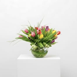 Low glass bowl of mixed-color tulips with decorative grasses and leaves against a white background