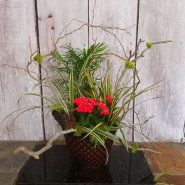 Red flowering plant arrangement in a woven basket with branches and long variegated leaves