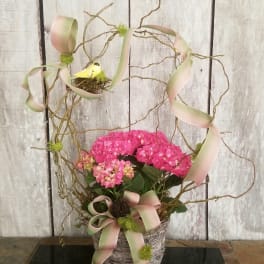 Pink hydrangea arrangement in a rustic basket with ribbon and twig accents